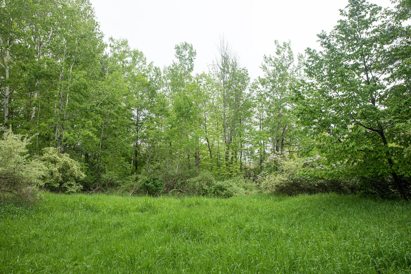 9257 5 Mile Road Hesperia, MI 49421 - Photo 25 of 29 JSO_6133