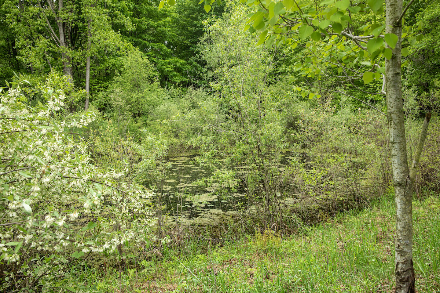 9257 5 Mile Road Hesperia, MI 49421 - Photo 26 of 29 JSO_6134