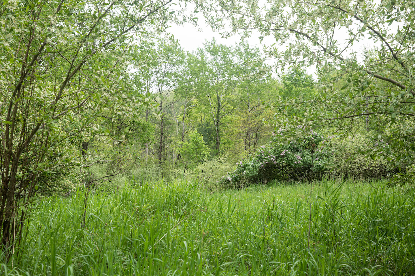 9257 5 Mile Road Hesperia, MI 49421 - Photo 27 of 29 JSO_6136