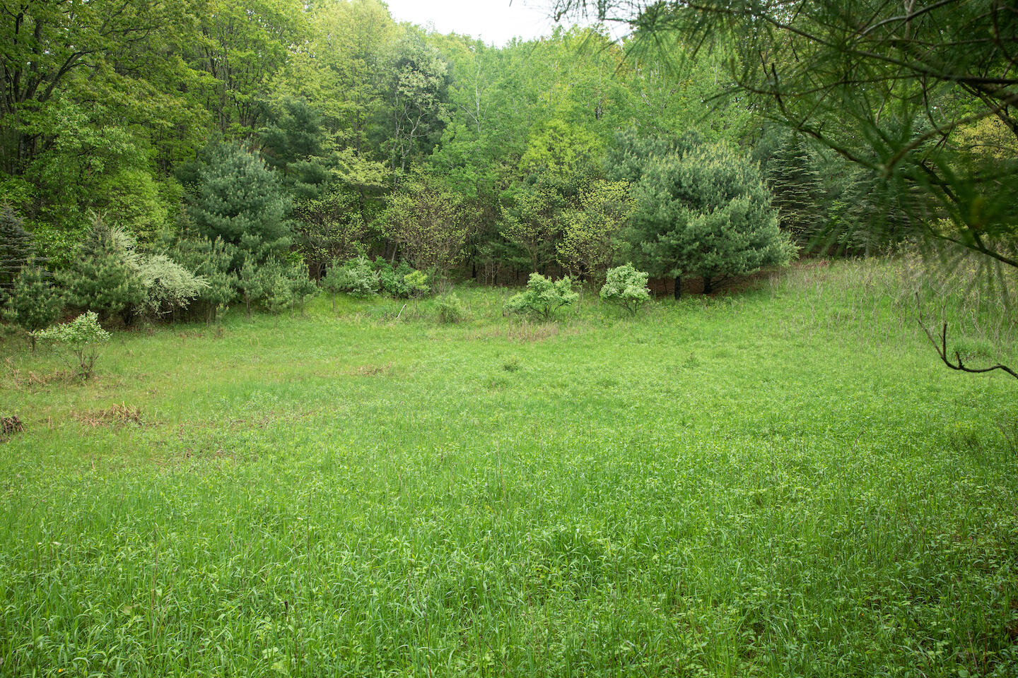 9257 5 Mile Road Hesperia, MI 49421 - Photo 4 of 29 JSO_6112