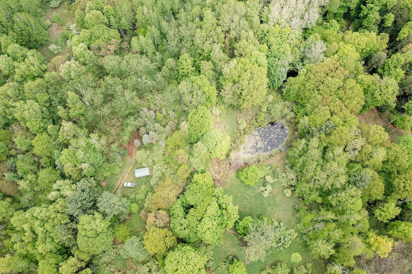 9257 5 Mile Road Hesperia, MI 49421 - Photo 7 of 29 DJI_0009