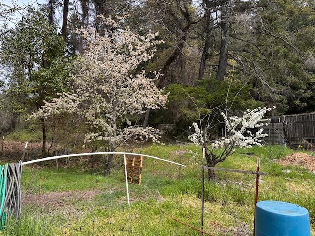 141 Wallen Ranch Road Burnt Ranch, CA 95527 - Photo 20 of 41
