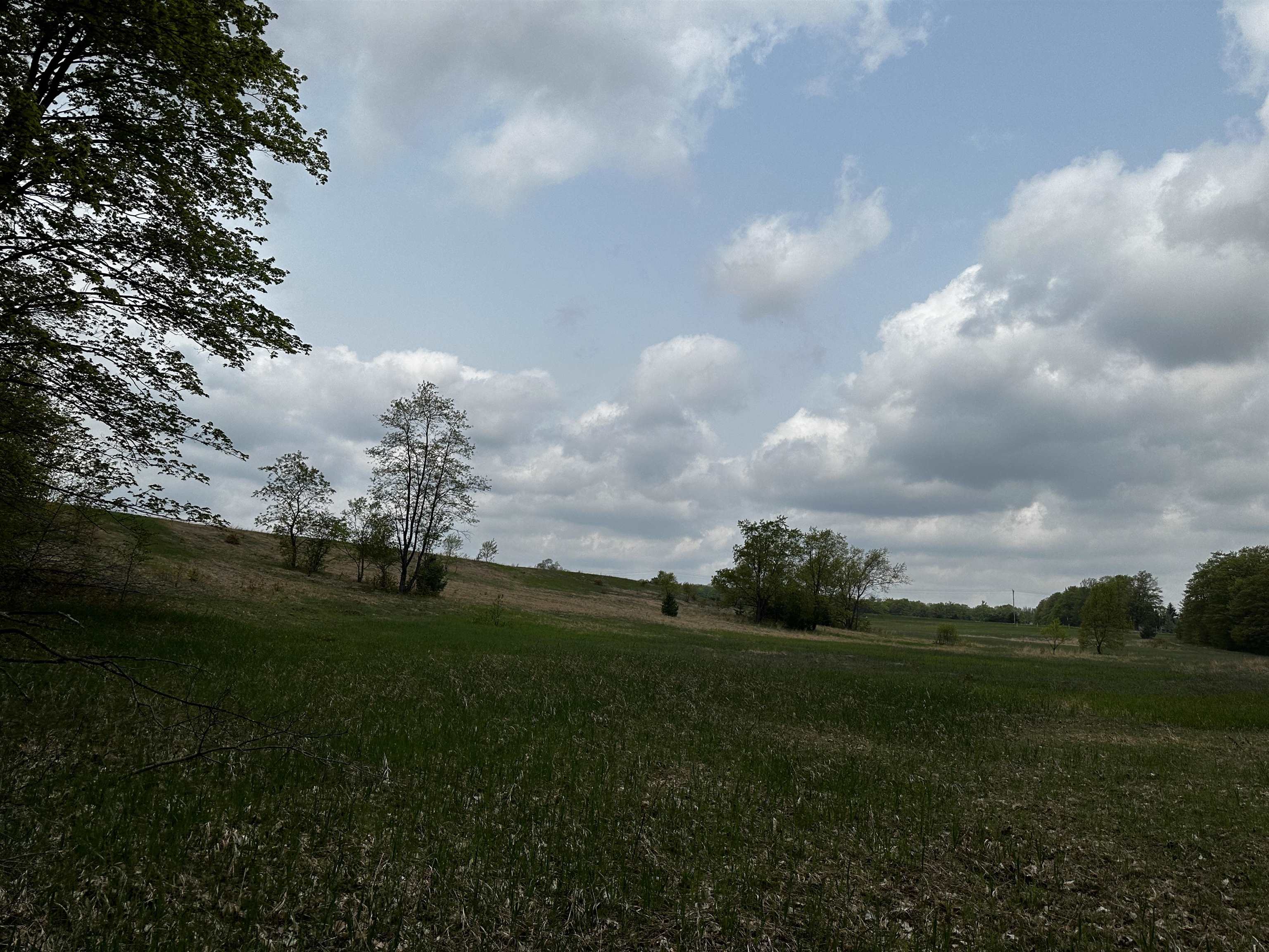 V/l Mancelona Road Gaylord, MI 49735 - Photo 7 of 9