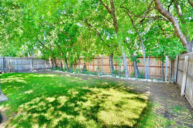 a view of a yard with a large tree and wooden fence