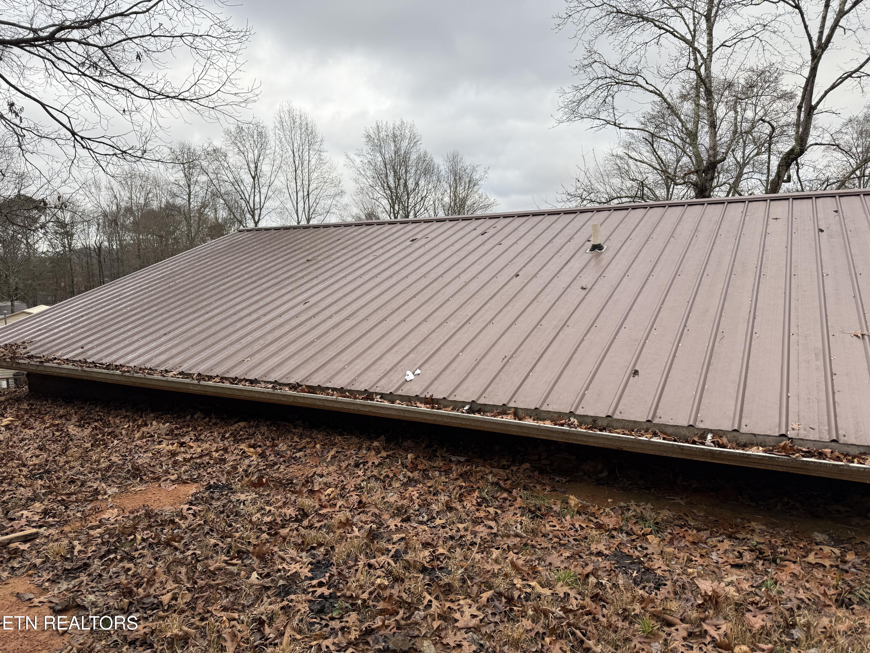 522 College Grove Road Rockwood, TN 37854 - Photo 16 of 19 Roof
