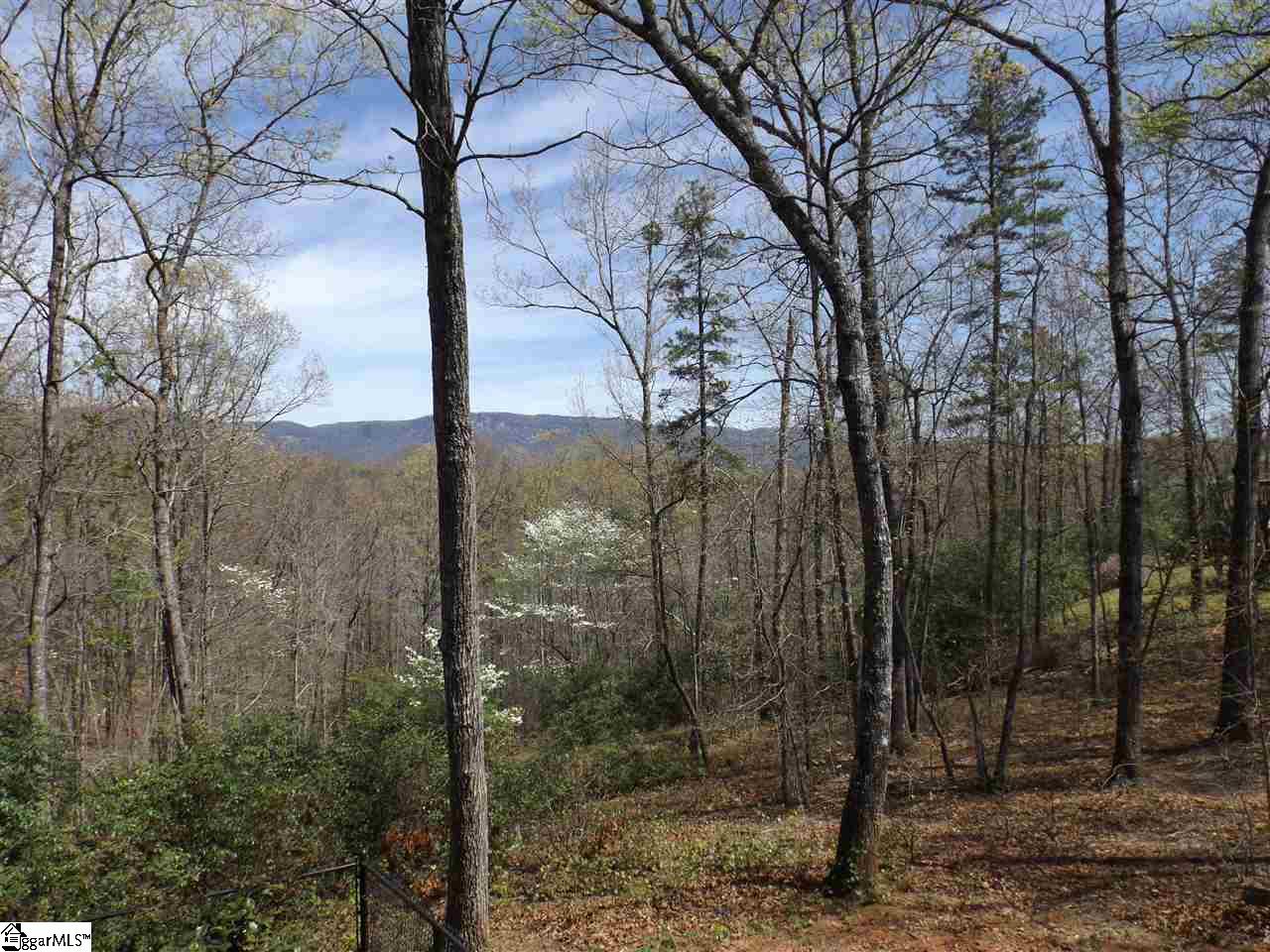 311 Fish Hawk Road Cleveland, SC 29635 - Photo 2 of 30 Gallery Image 2