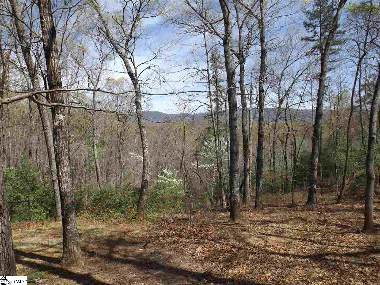 311 Fish Hawk Road Cleveland, SC 29635 - Photo 17 of 30 Gallery Image 17