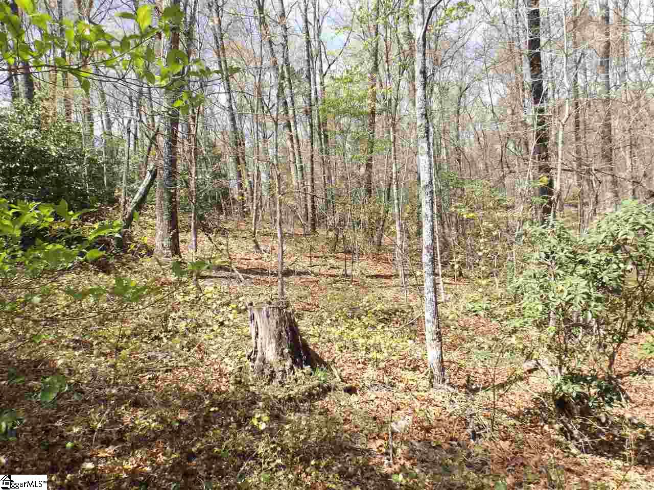 311 Fish Hawk Road Cleveland, SC 29635 - Photo 24 of 30 Gallery Image 24
