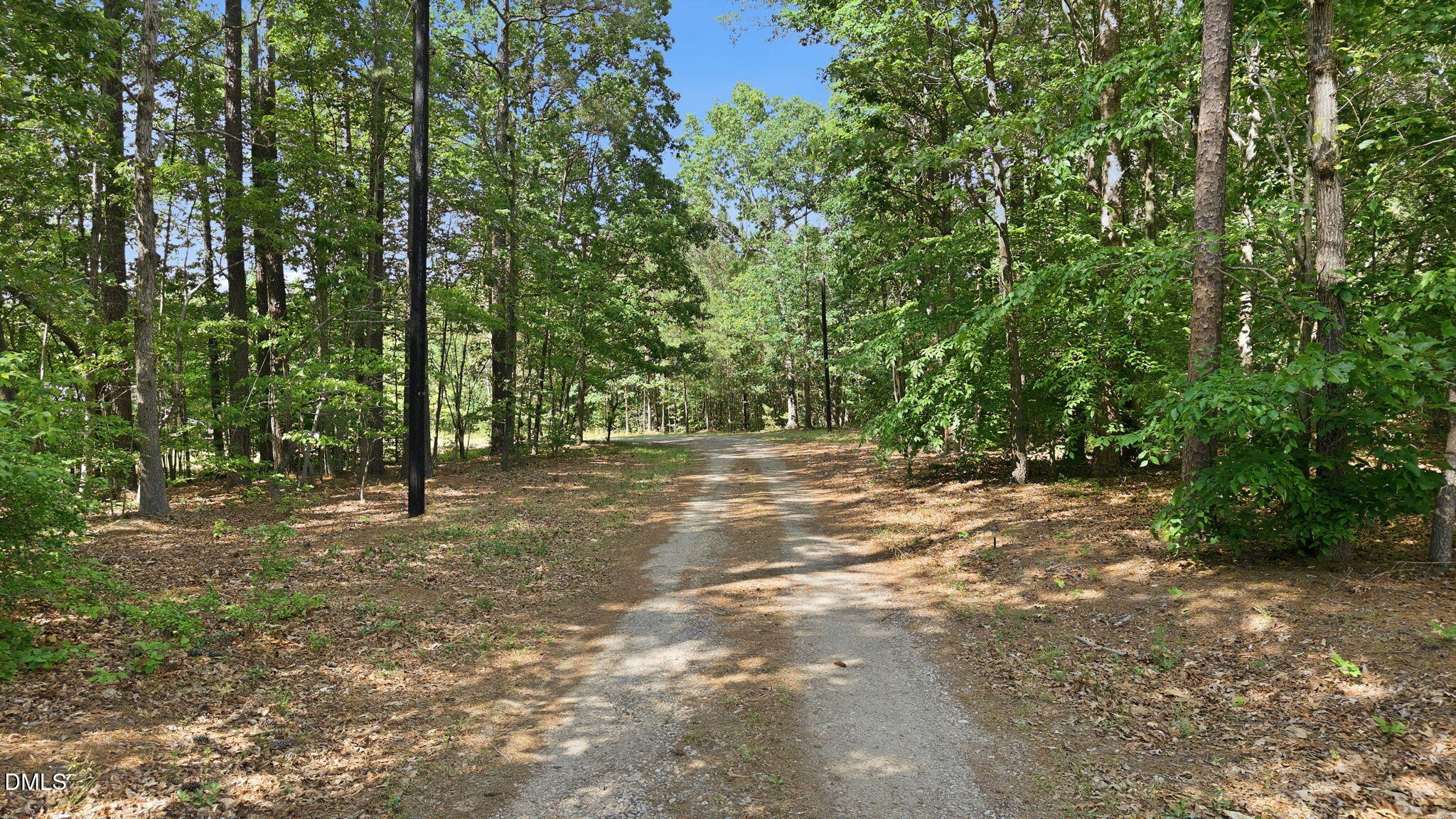 3602 Harrison Road Castalia, NC 27816 - Photo 22 of 48 a view of outdoor space with trees