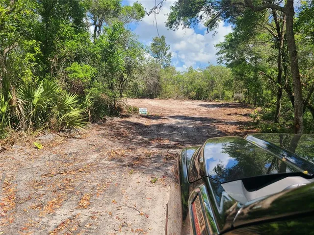 a view of an outdoor space