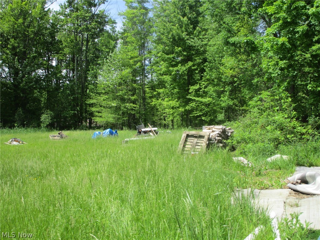 Vl Doyle Road Jefferson, OH 44047 - Photo 7 of 42