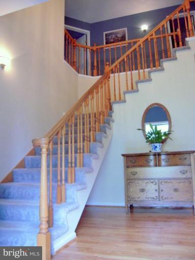 3901 Chantilly Road Chantilly, VA 20151 - Photo 2 of 28 Entrance / Foyer