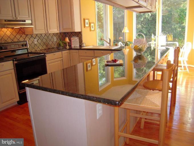 3901 Chantilly Road Chantilly, VA 20151 - Photo 14 of 28 Kitchen/Family Room