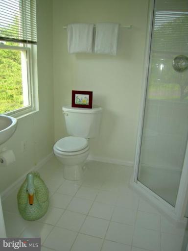 3901 Chantilly Road Chantilly, VA 20151 - Photo 20 of 28 Bedroom #1 Bath