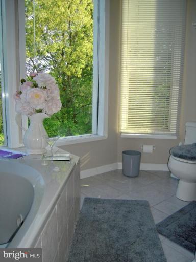 3901 Chantilly Road Chantilly, VA 20151 - Photo 23 of 28 Master Bath #2