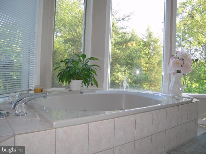 3901 Chantilly Road Chantilly, VA 20151 - Photo 27 of 28 Master Bath