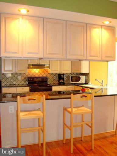 3901 Chantilly Road Chantilly, VA 20151 - Photo 5 of 28 Kitchen #2