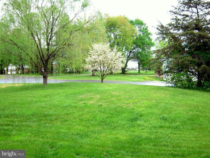 3901 Chantilly Road Chantilly, VA 20151 - Photo 10 of 28 View from Unit