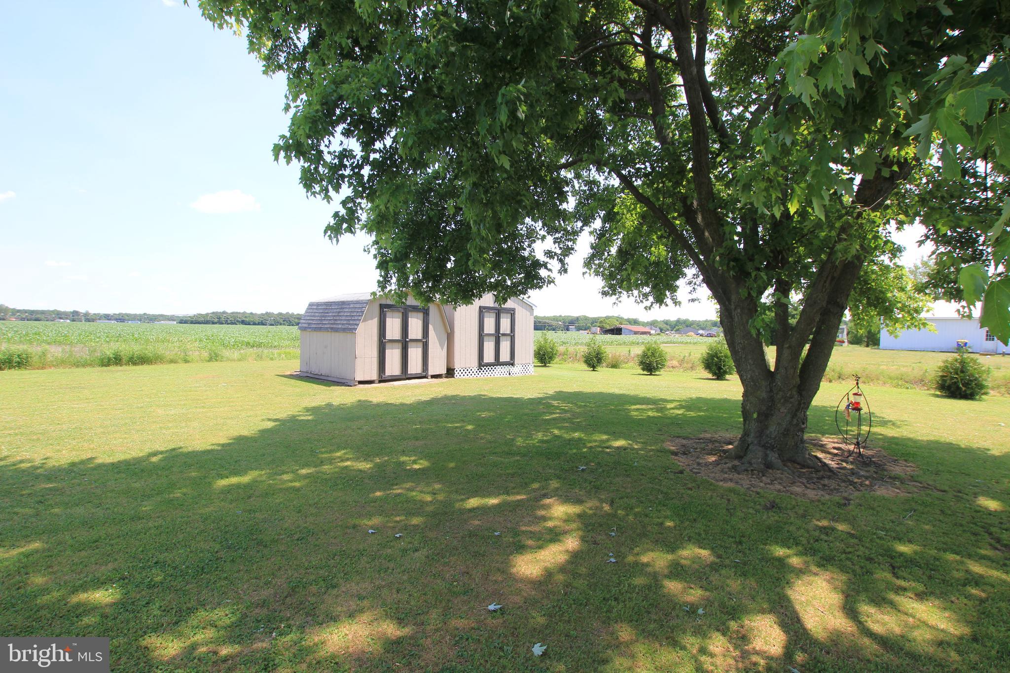 33861 Gordy Road Laurel, DE 19956 - Photo 28 of 29 Two Storage Sheds