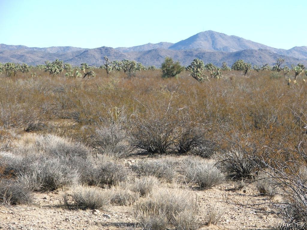 2074 South Rawhide Road Yucca, AZ 86438 - Photo 2 of 12 Gallery Image 2