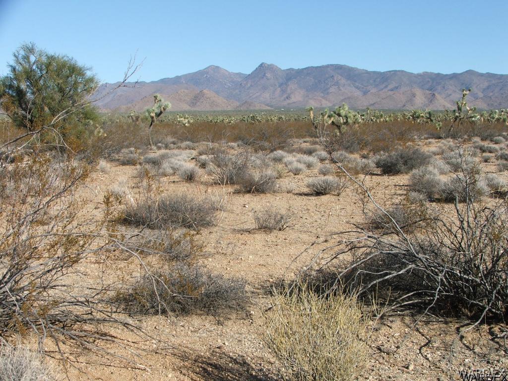 2074 South Rawhide Road Yucca, AZ 86438 - Photo 3 of 12 Gallery Image 3