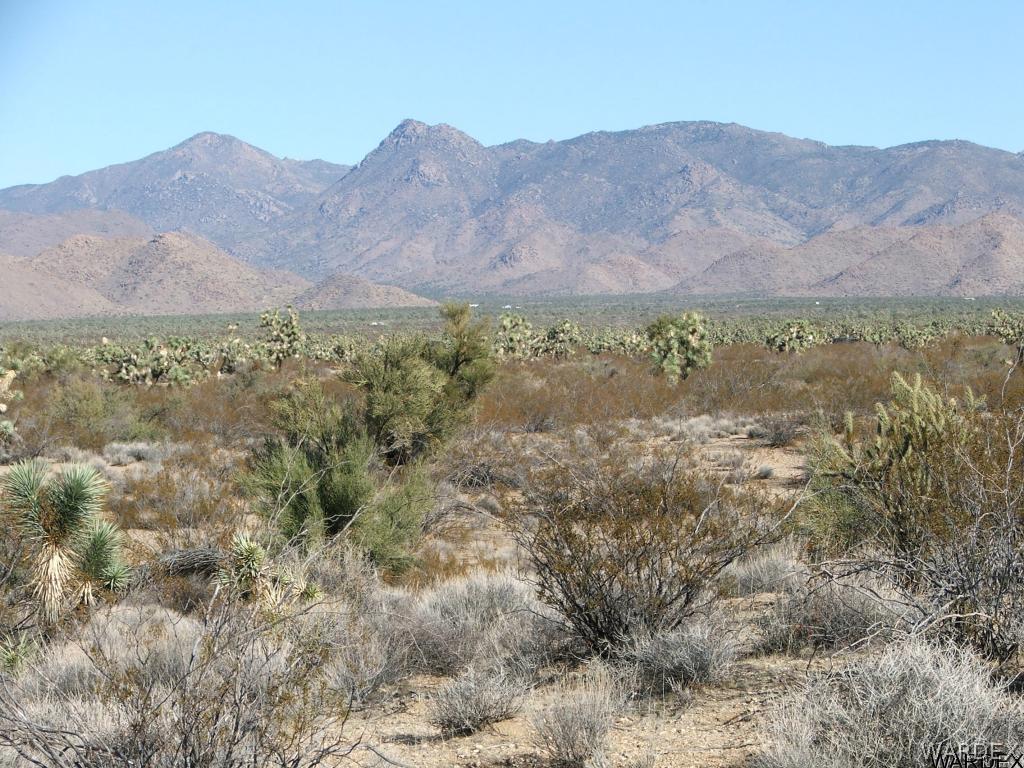2074 South Rawhide Road Yucca, AZ 86438 - Photo 10 of 12 Gallery Image 10