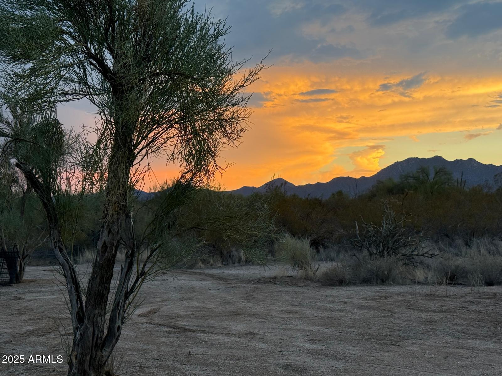 15966 East Jomax Road Scottsdale, AZ 85262 - Photo 5 of 27 PHOTO-2025-08-16-08-51-36 (3)