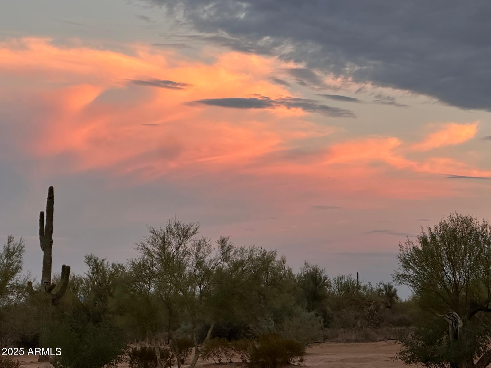 15966 East Jomax Road Scottsdale, AZ 85262 - Photo 6 of 27 PHOTO-2025-08-16-08-51-32 (2)