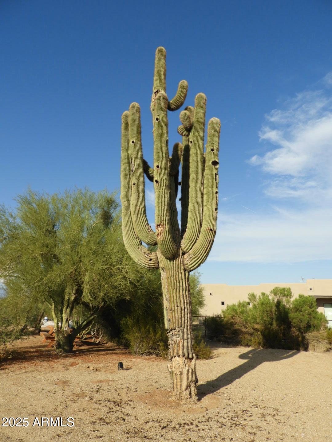 15966 East Jomax Road Scottsdale, AZ 85262 - Photo 8 of 27 PHOTO-2025-08-16-08-51-34