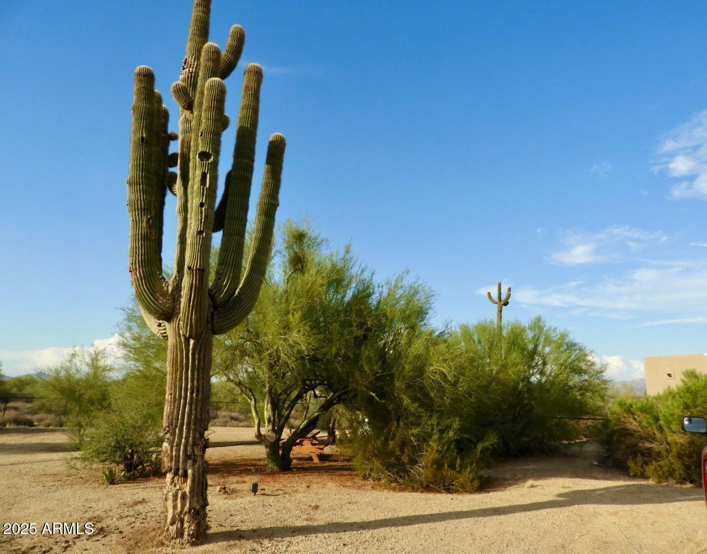 15966 East Jomax Road Scottsdale, AZ 85262 - Photo 9 of 27 PHOTO-2025-08-16-08-51-36 (2)