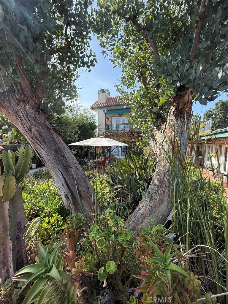 2515 Crest View Drive, Unit ADU #2 Los Angeles, CA 90046 - Photo 14 of 18