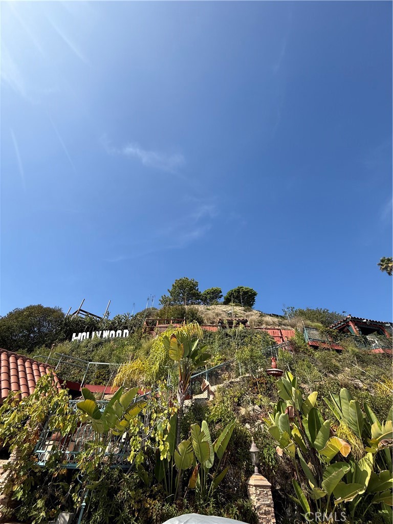 2515 Crest View Drive, Unit ADU #2 Los Angeles, CA 90046 - Photo 17 of 18