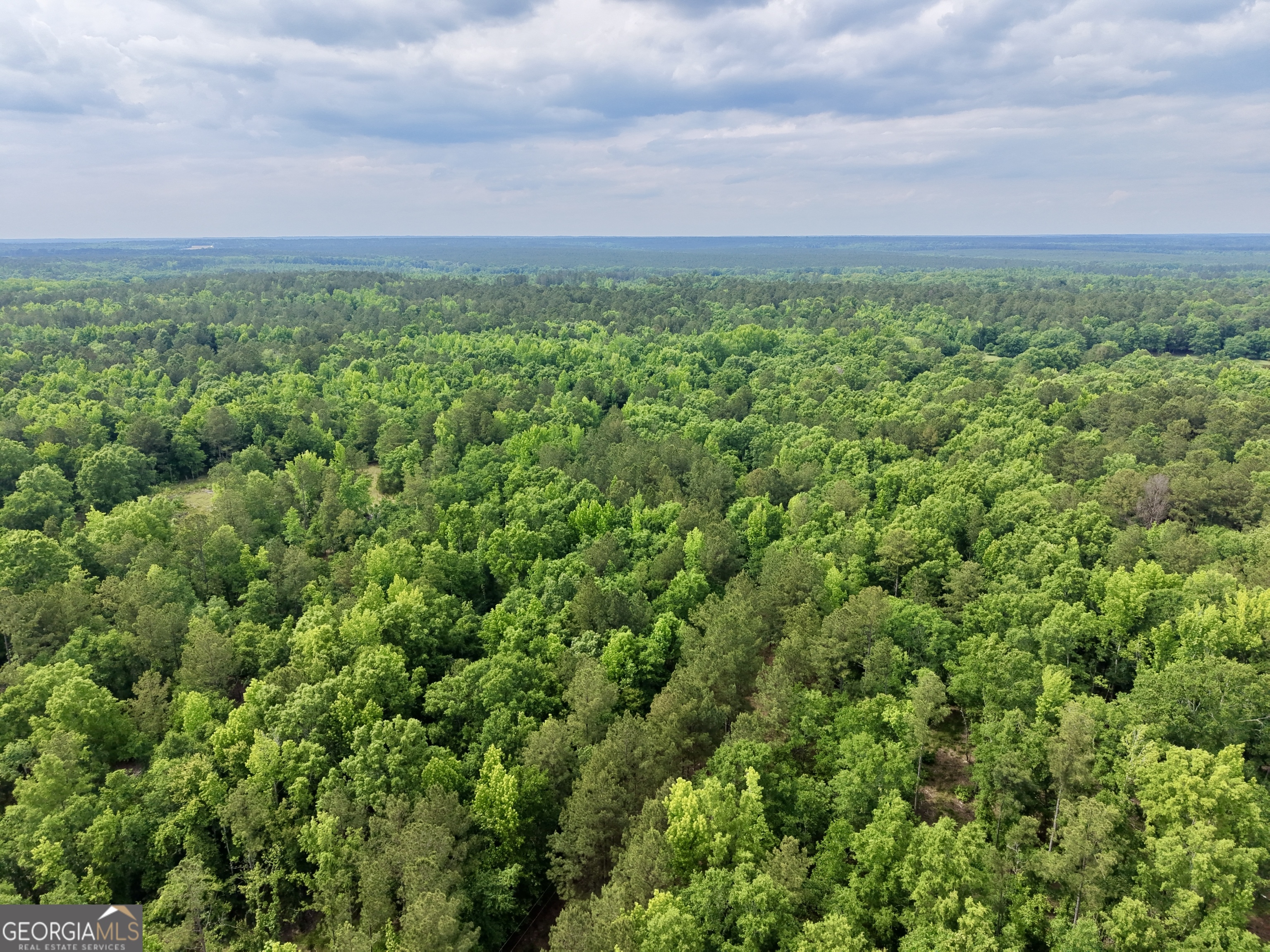 715 Fulsome Creek Road Sparta, GA 31087 - Photo 116 of 117