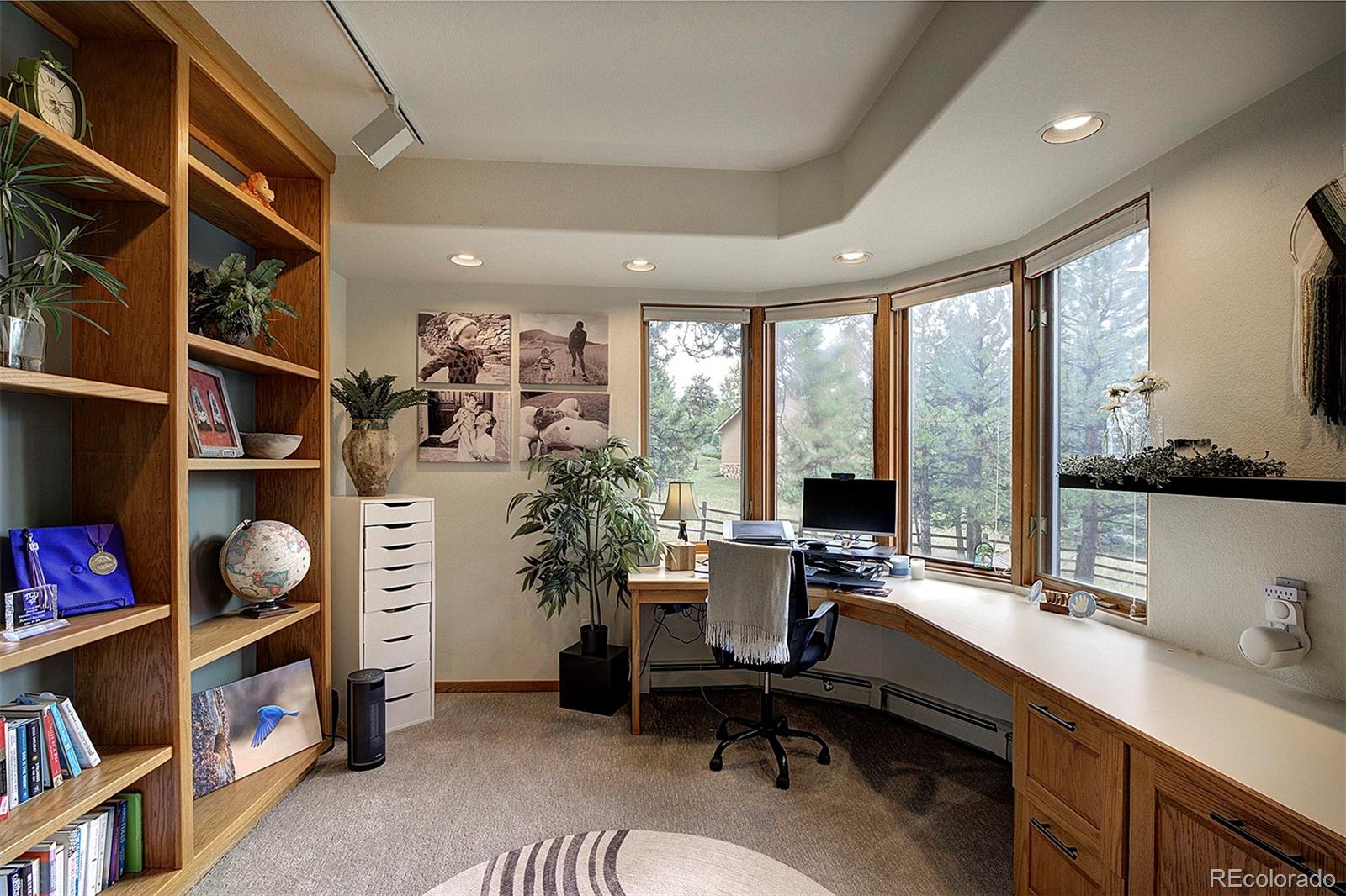 2040 Werner Lane Evergreen, CO 80439 - Photo 29 of 47 a view of a workspace with furniture and a potted plant