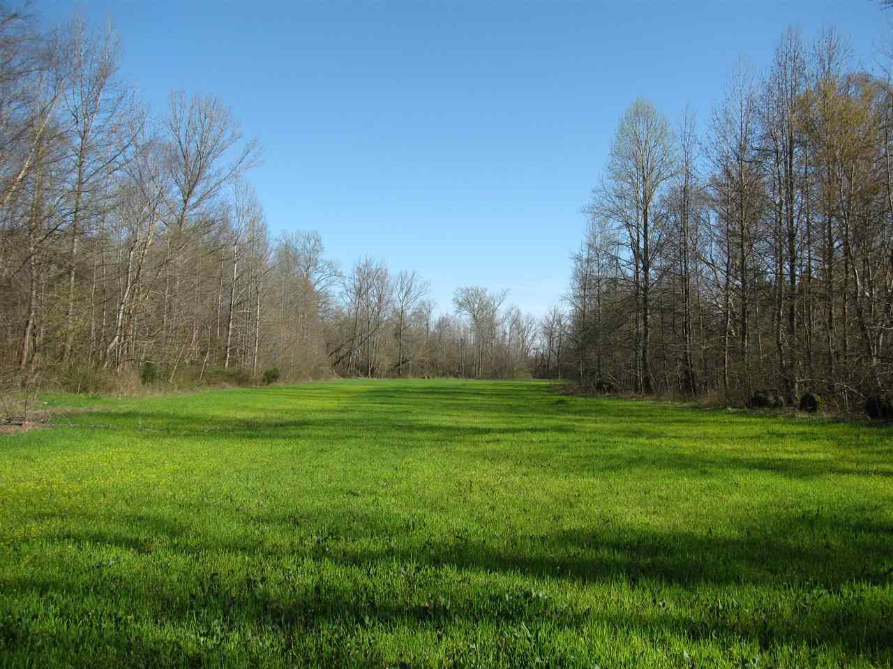 990 Pusser Road Enville, TN 38332 - Photo 21 of 25
