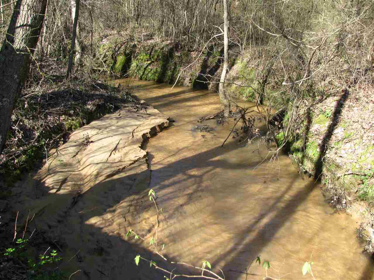 990 Pusser Road Enville, TN 38332 - Photo 23 of 25