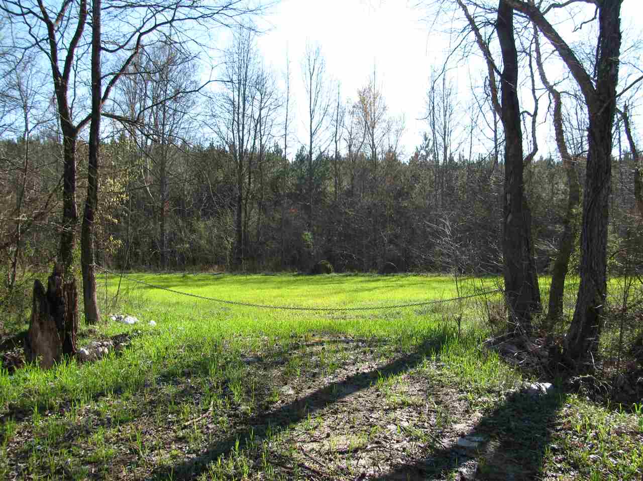 990 Pusser Road Enville, TN 38332 - Photo 24 of 25