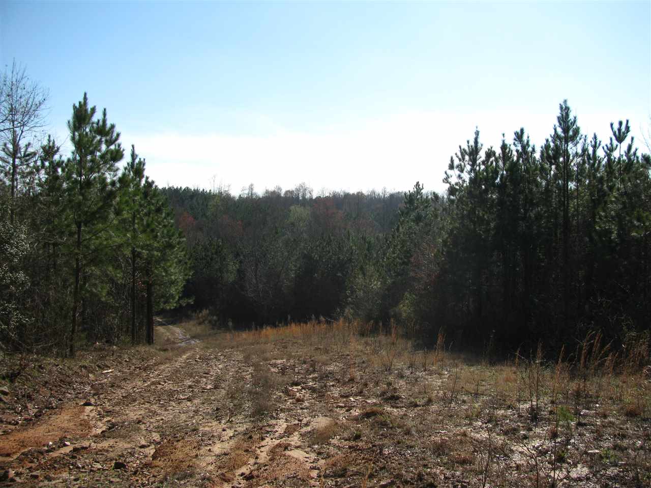 990 Pusser Road Enville, TN 38332 - Photo 25 of 25