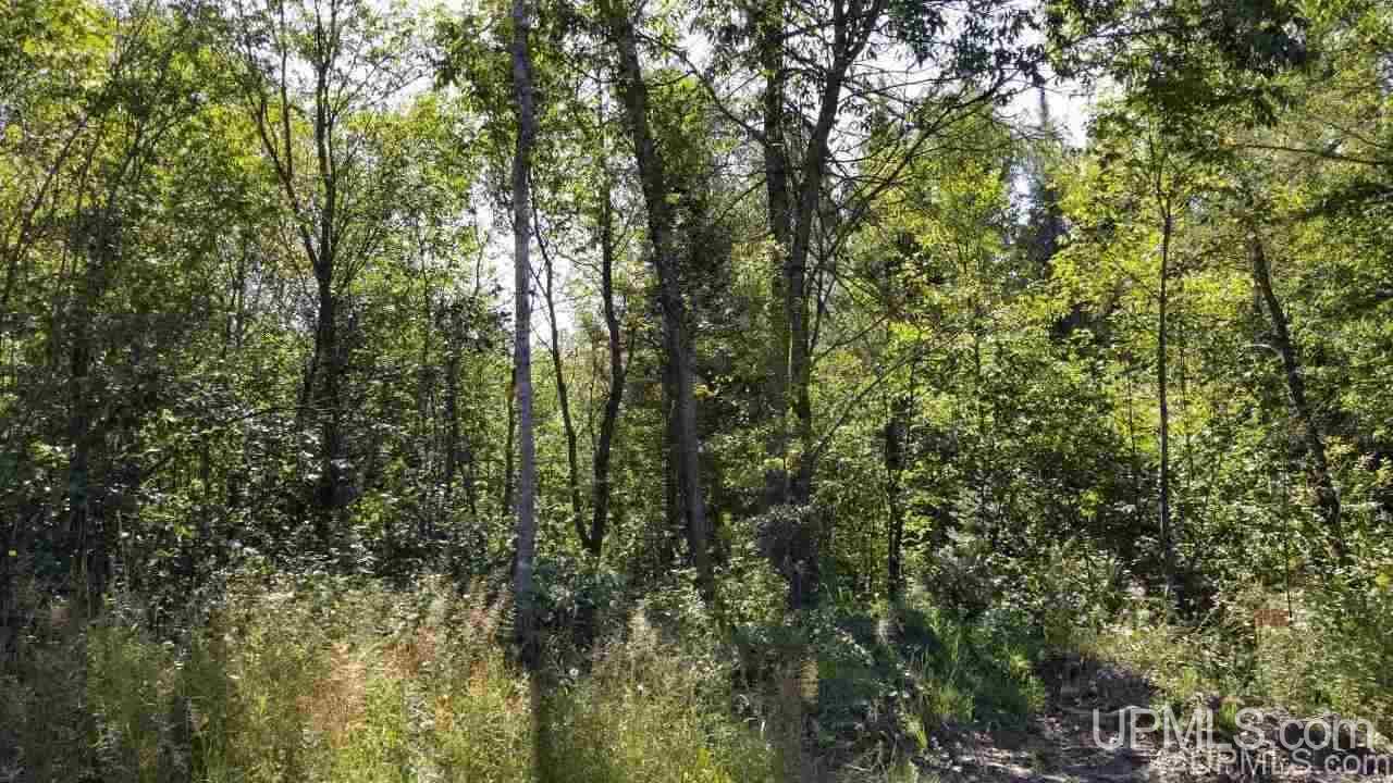 Tbd Fishing Site Road, Unit 1 Amasa, MI 49903 - Photo 16 of 19