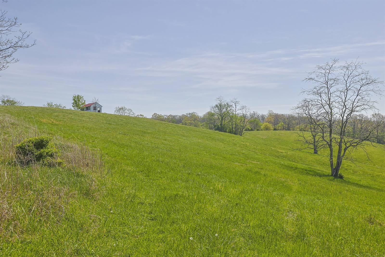 360 Day Hill Road Foster, KY 41043 - Photo 31 of 50