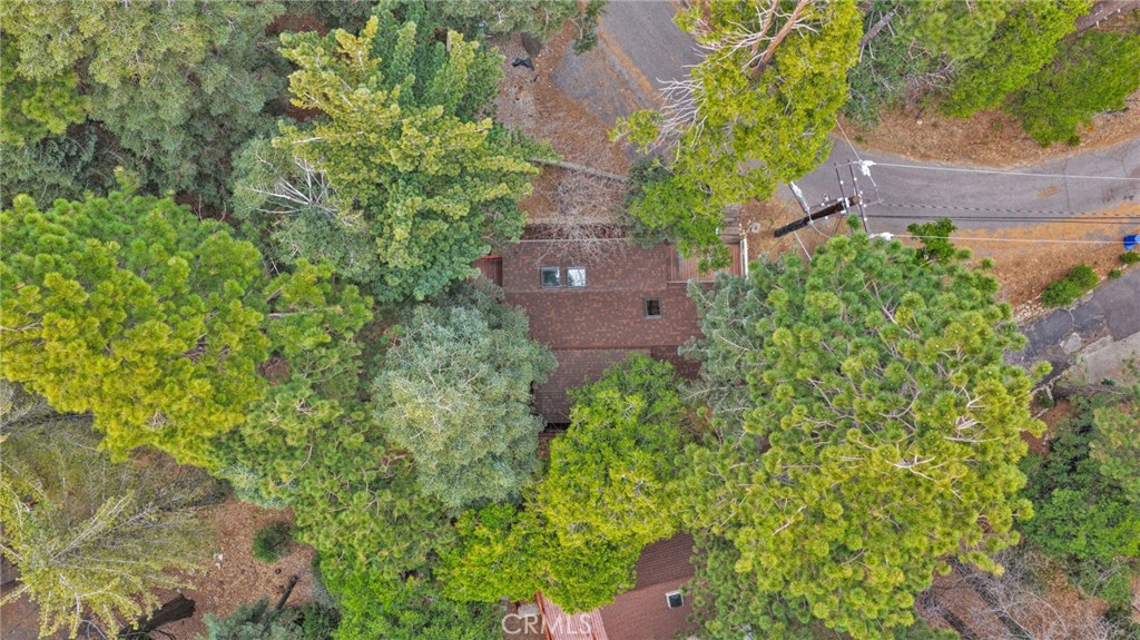 788 Buckingham Square Lake Arrowhead, CA 92352 - Photo 51 of 61 an aerial view of a house with a yard and garden space