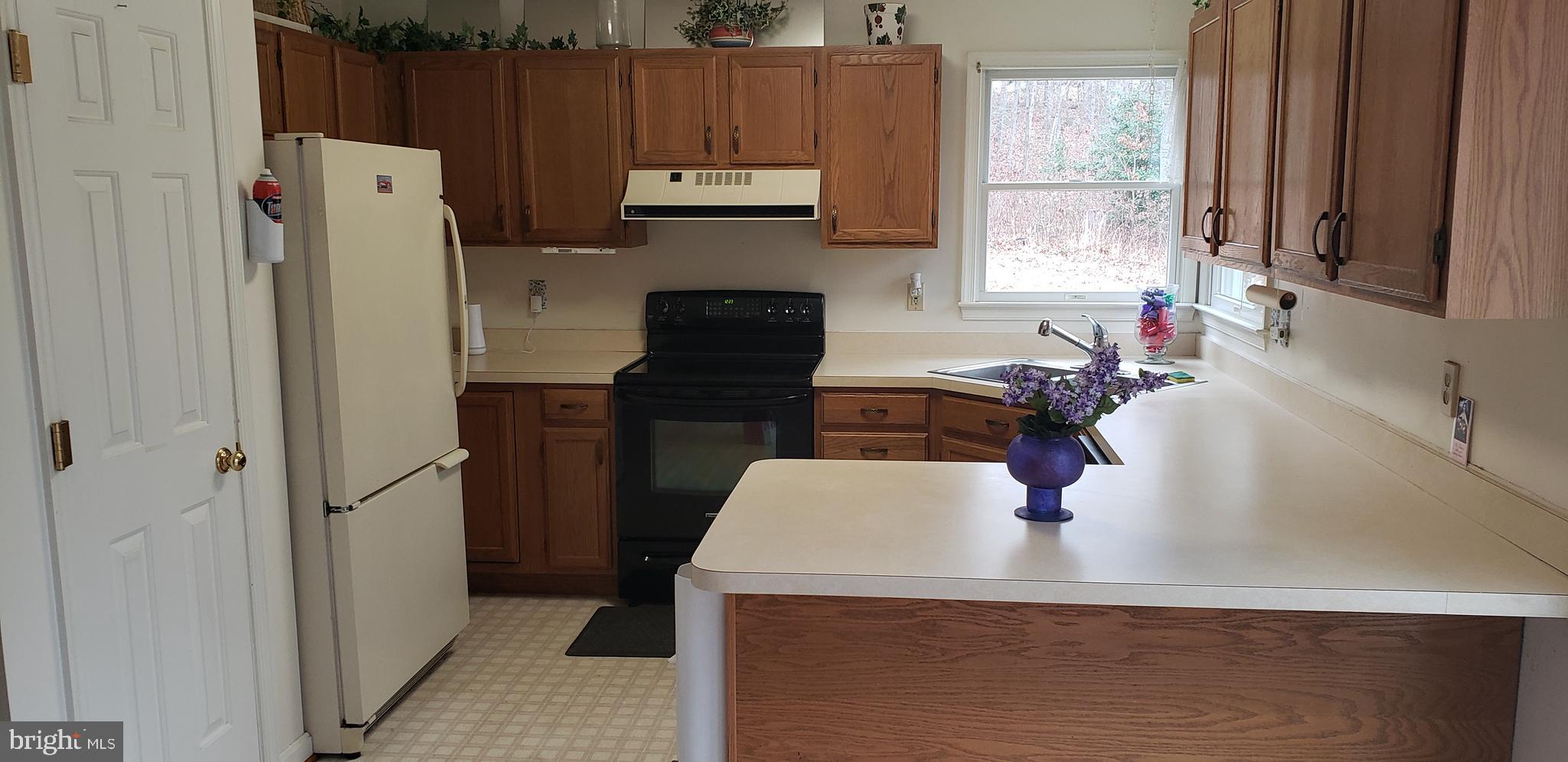 16172 Quail Ridge Drive Rixeyville, VA 22737 - Photo 11 of 33 KITCHEN