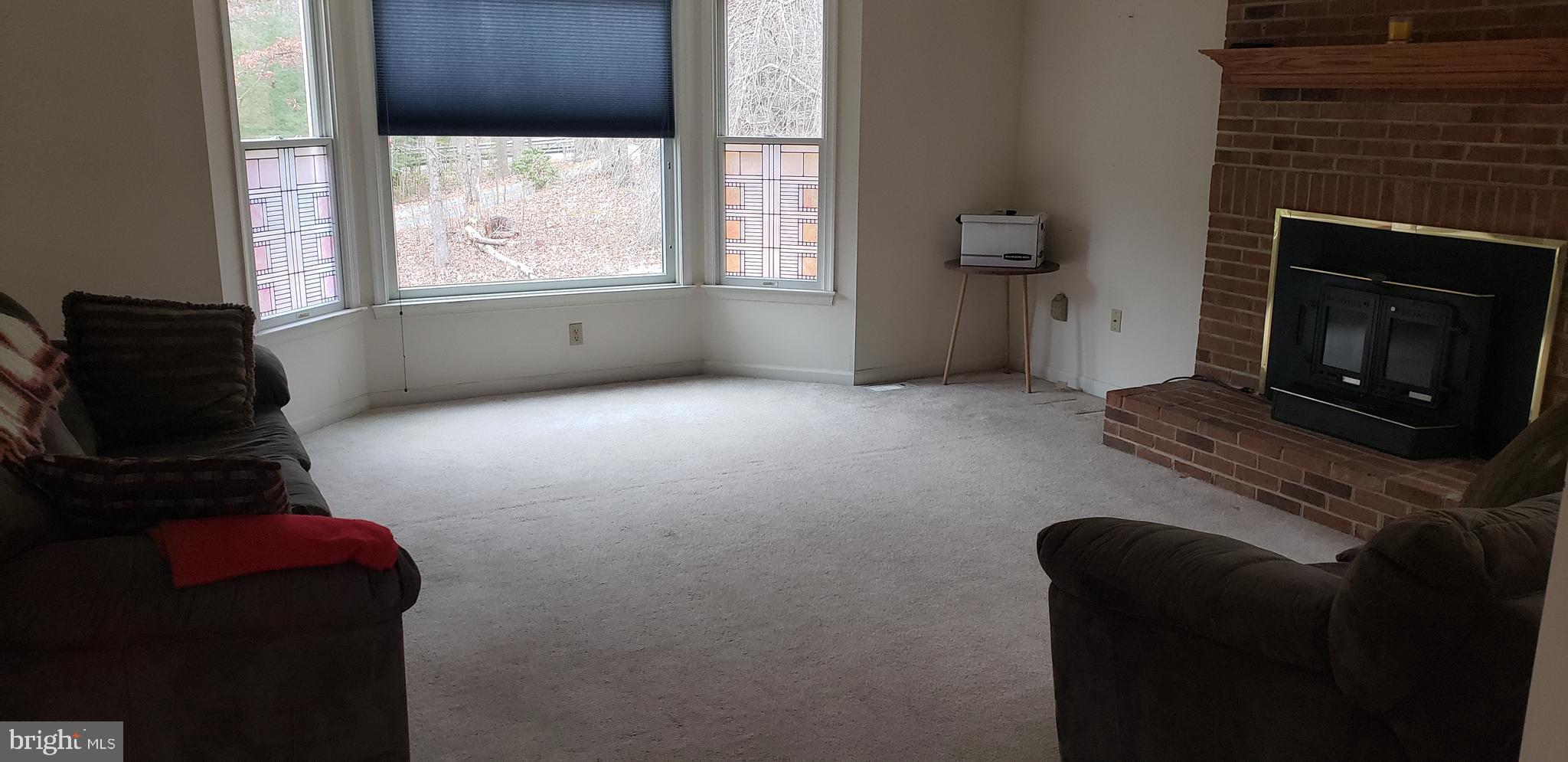 16172 Quail Ridge Drive Rixeyville, VA 22737 - Photo 12 of 33 LIVING ROOM