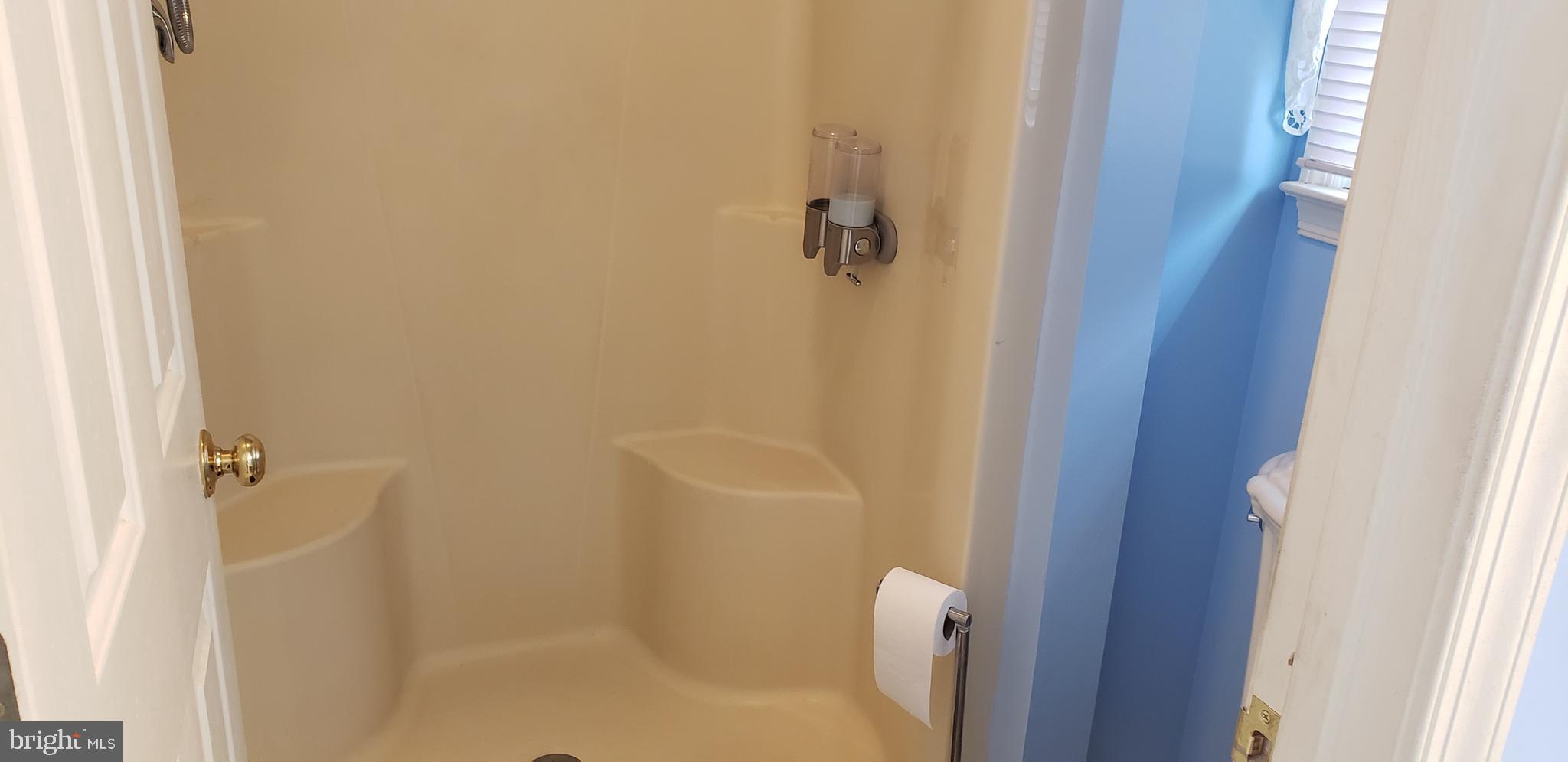 16172 Quail Ridge Drive Rixeyville, VA 22737 - Photo 15 of 33 MASTER SHOWER