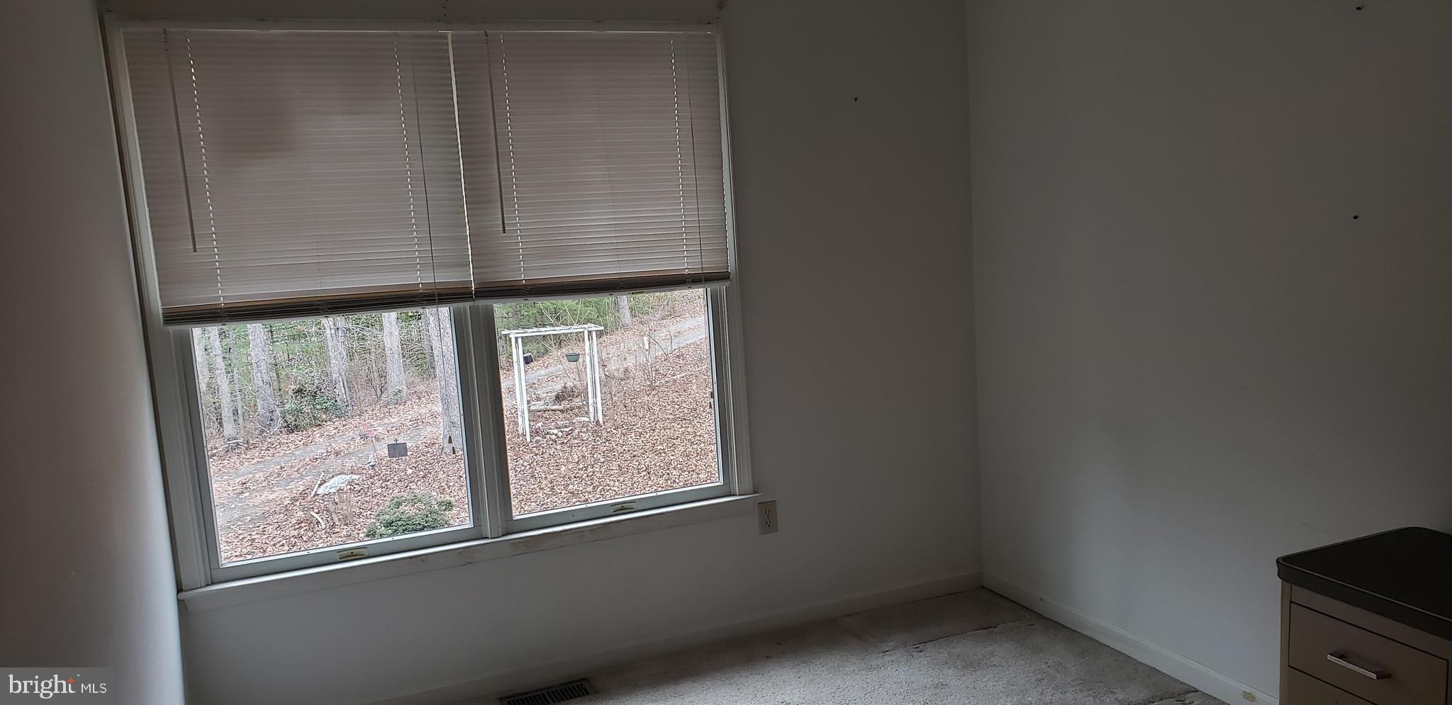16172 Quail Ridge Drive Rixeyville, VA 22737 - Photo 20 of 33 BEDROOM 3