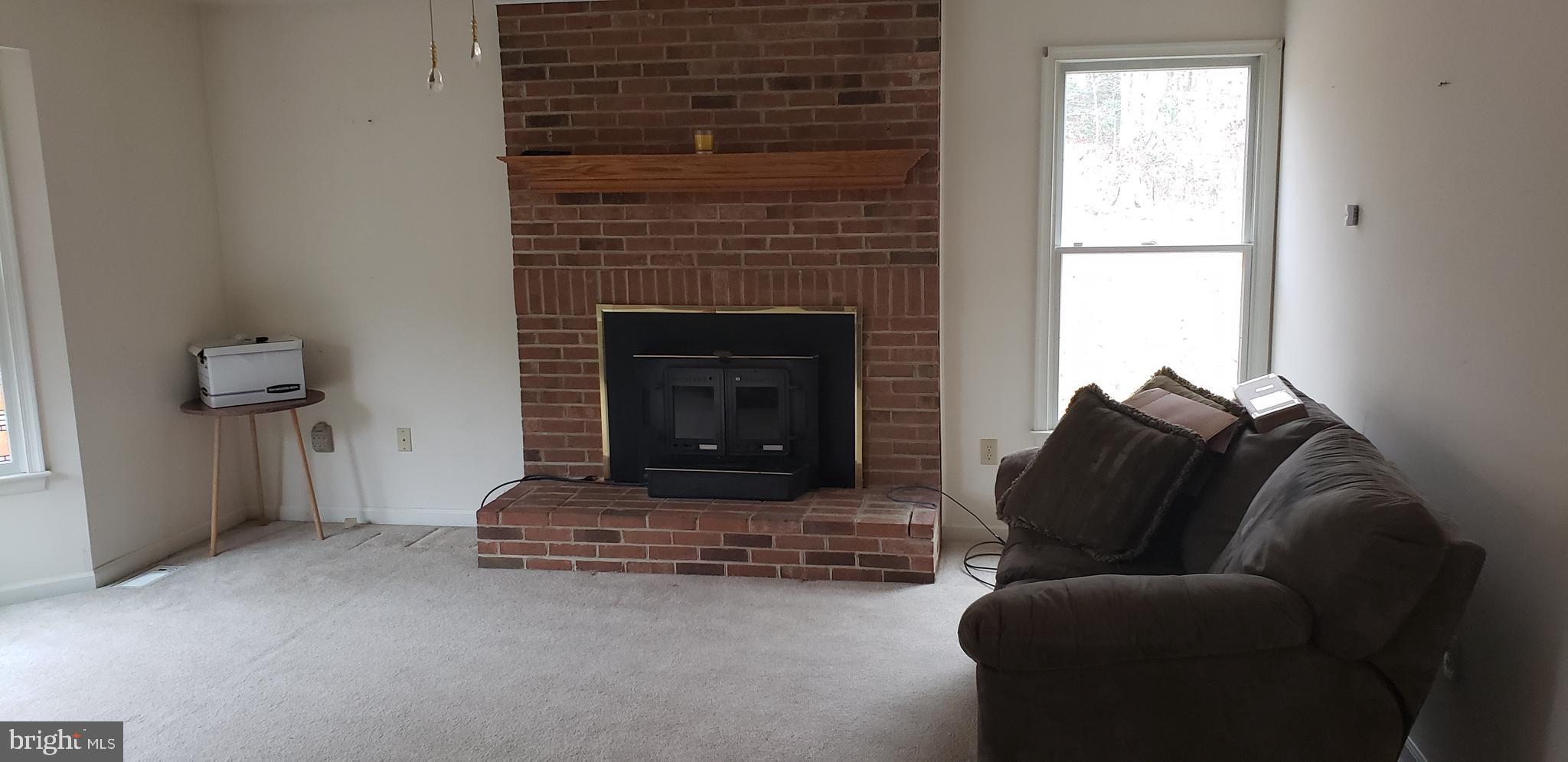 16172 Quail Ridge Drive Rixeyville, VA 22737 - Photo 28 of 33 FIREPLACE