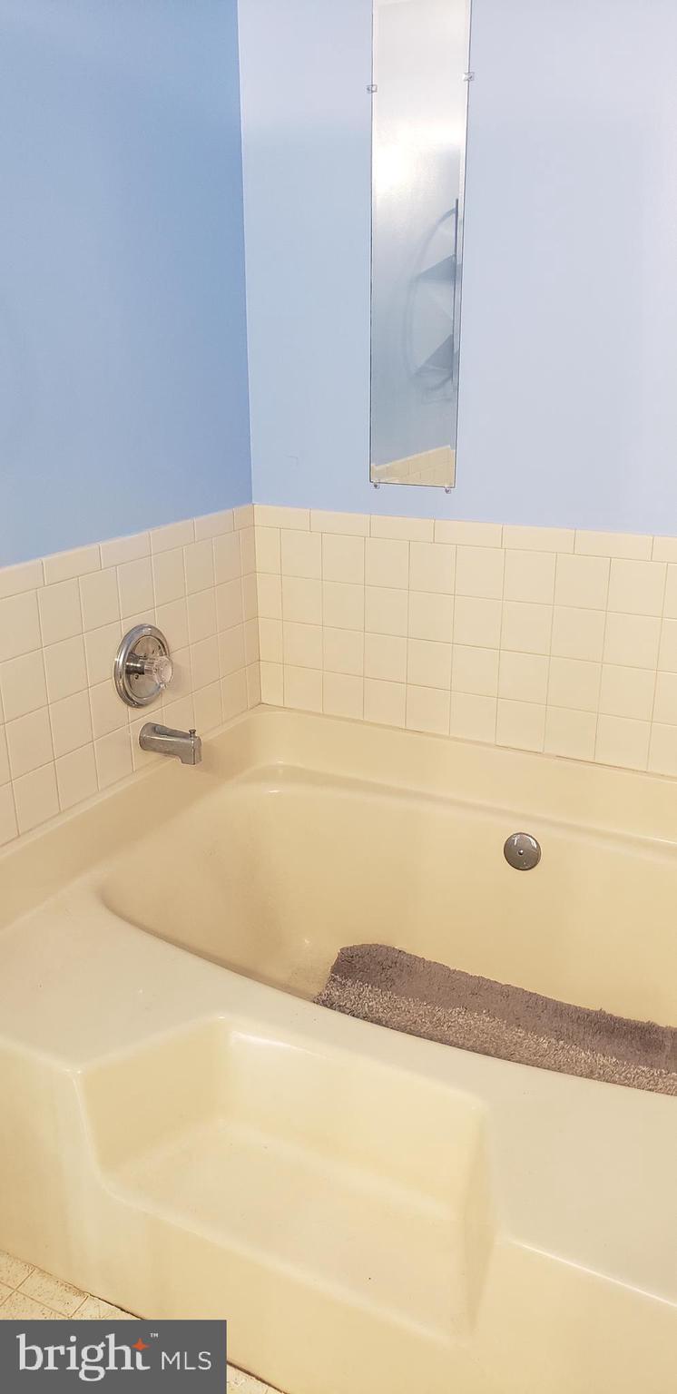 16172 Quail Ridge Drive Rixeyville, VA 22737 - Photo 31 of 33 MASTER TUB
