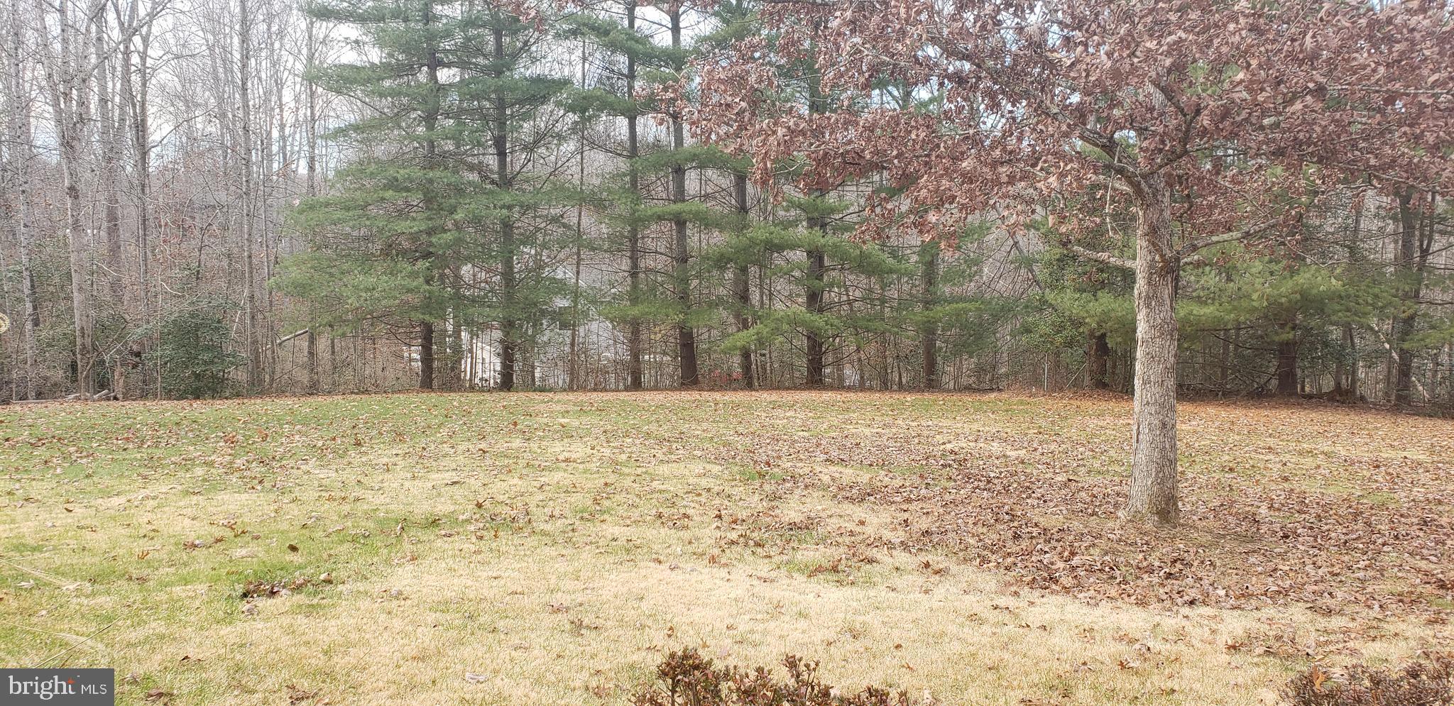 16172 Quail Ridge Drive Rixeyville, VA 22737 - Photo 5 of 33 BACK YARD