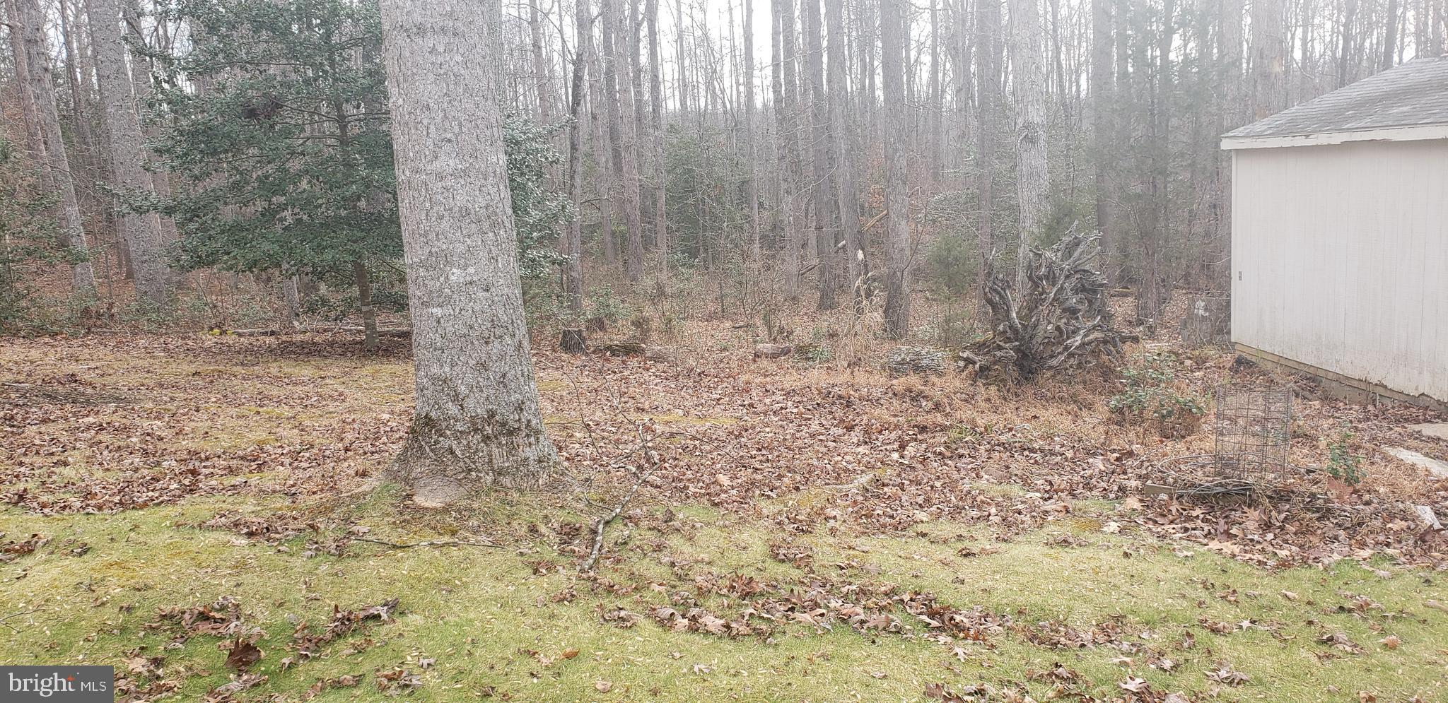 16172 Quail Ridge Drive Rixeyville, VA 22737 - Photo 6 of 33 BACK