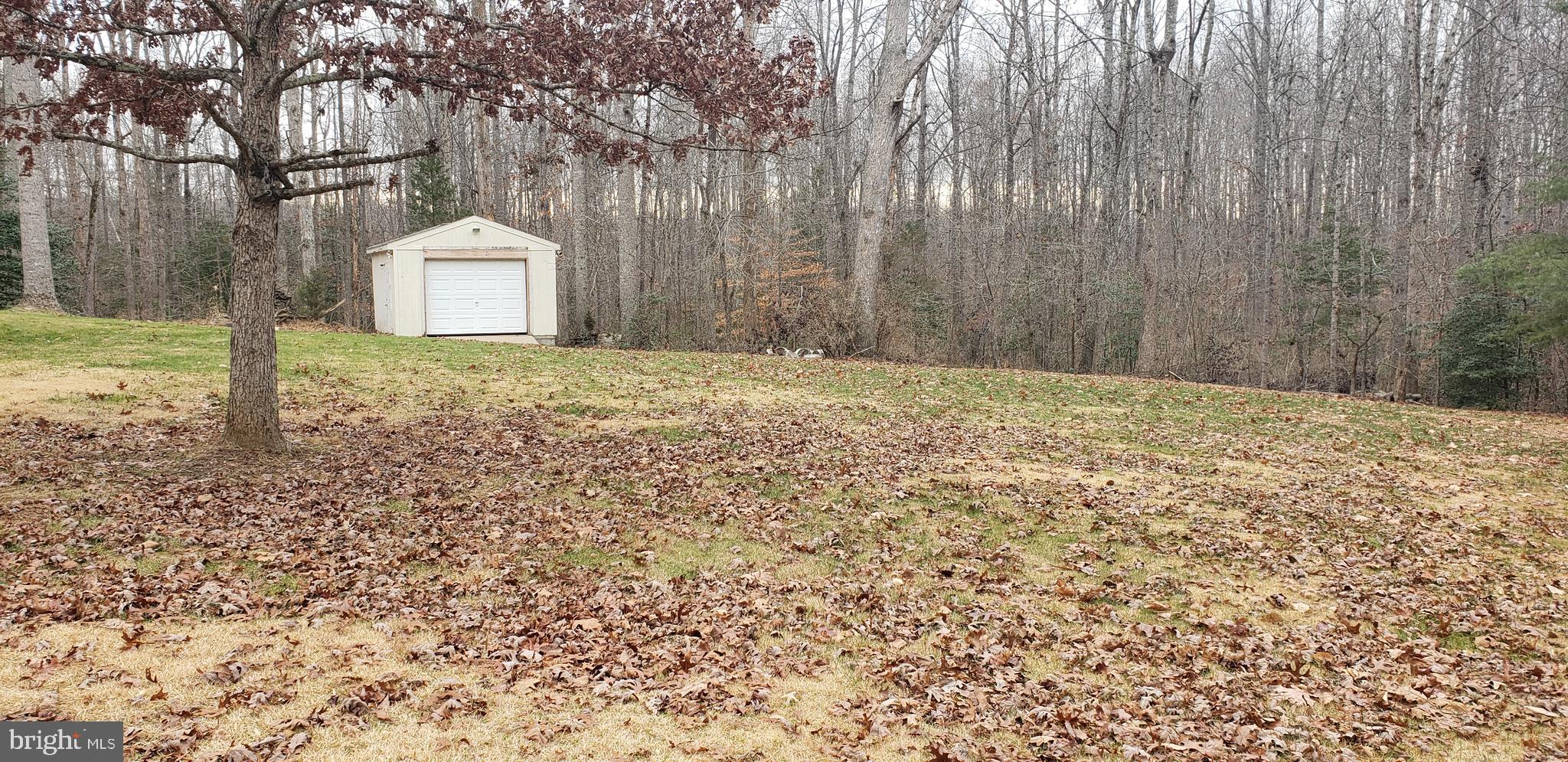 16172 Quail Ridge Drive Rixeyville, VA 22737 - Photo 7 of 33 BACK WITH SHED